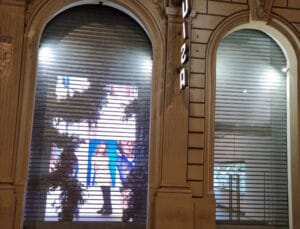 Serranda microforata -